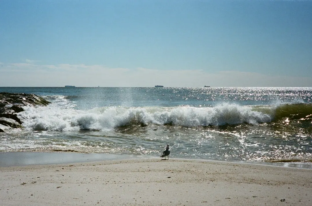 NYC on Film, frame 6 of 95
