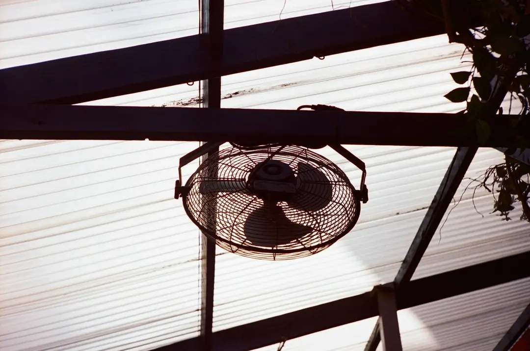 NYC on Film, frame 65 of 95