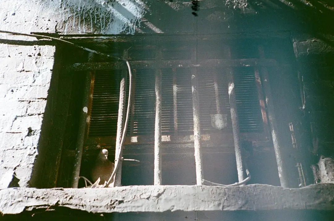 NYC on Film, frame 75 of 95