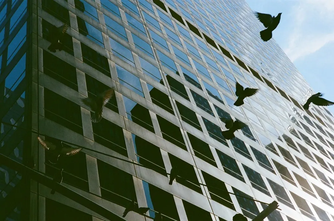 NYC on Film, frame 17 of 95