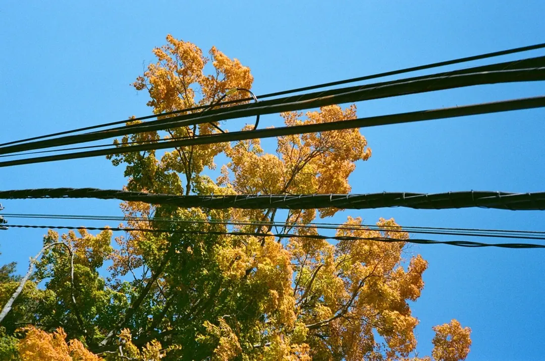NYC on Film, frame 90 of 95