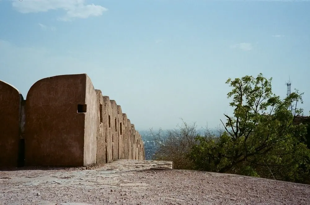 Nature on 35mm, frame 64 of 65