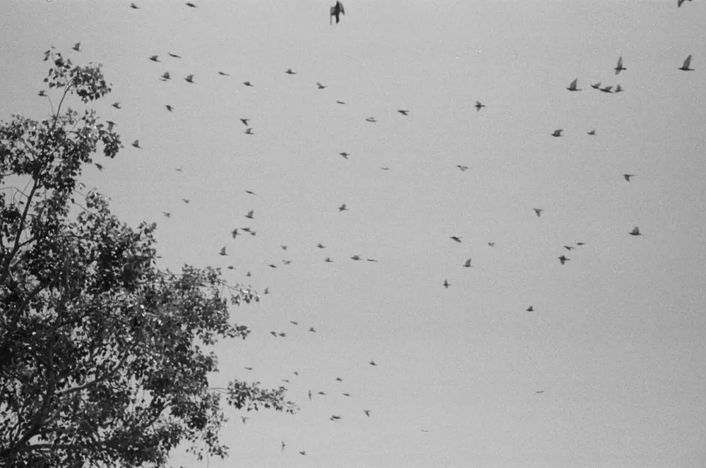 India on Film, frame 25 of 30