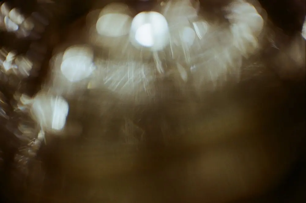 35mm, frame 21 of 87