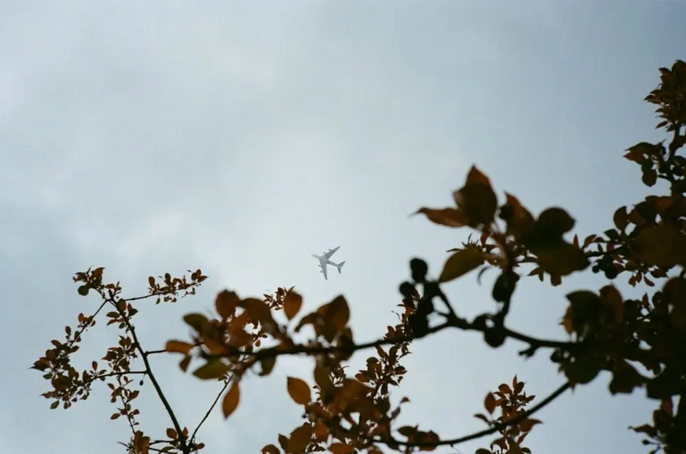 35mm, frame 84 of 87