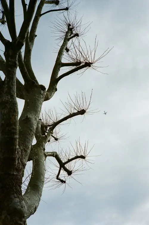 Nature on 35mm, frame 58 of 65