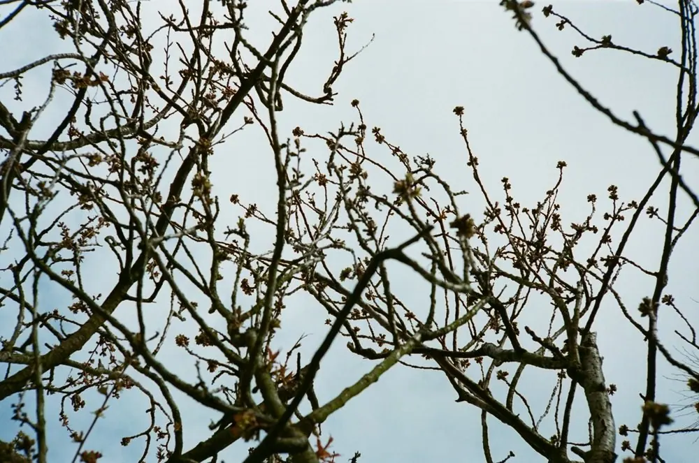 35mm, frame 64 of 87