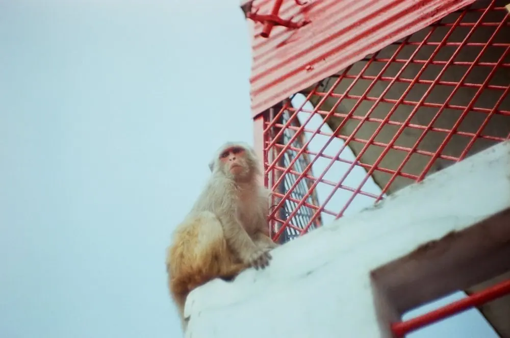 India on Film, frame 3 of 30