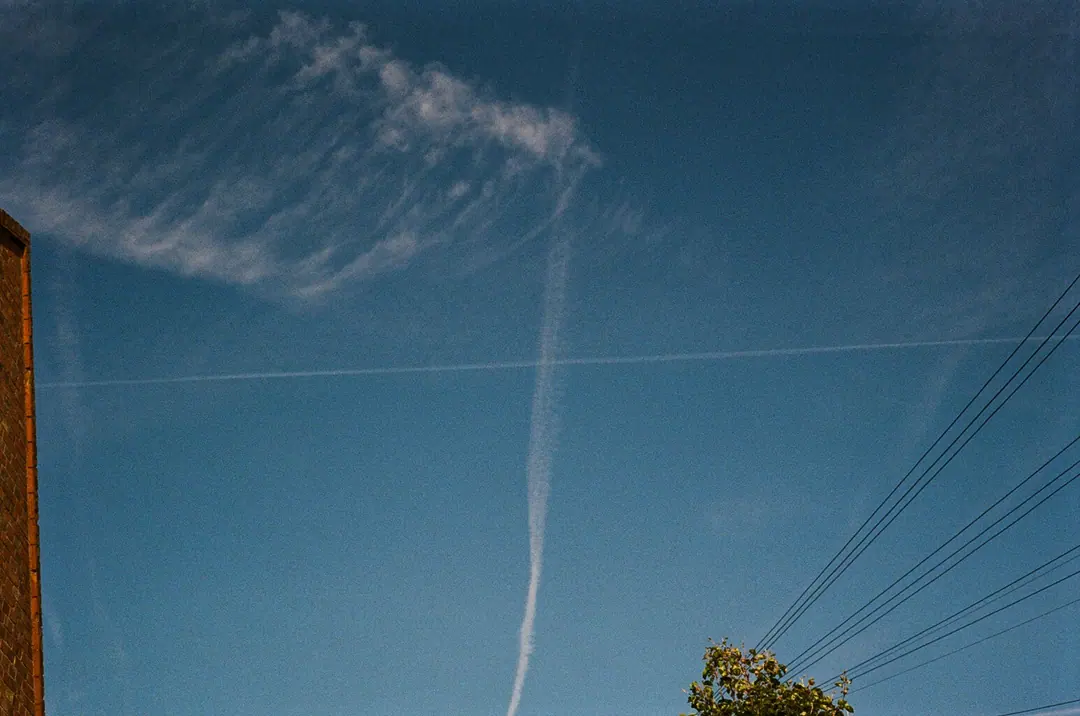 Nature on 35mm, frame 8 of 65