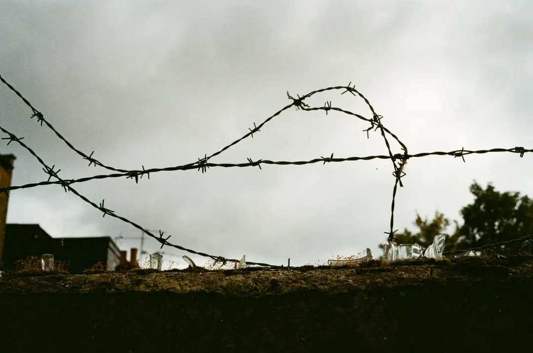 Nature on 35mm, frame 19 of 65