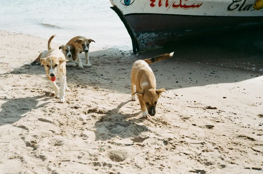 Jordan on Film, frame 25 of 124