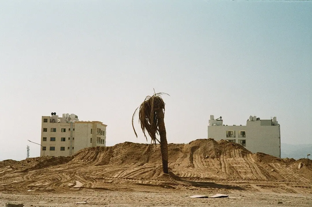 Nature on 35mm, frame 49 of 65
