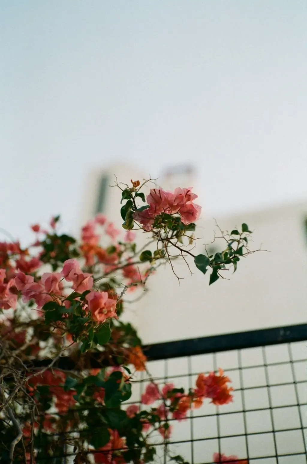 Jordan on Film, frame 44 of 124