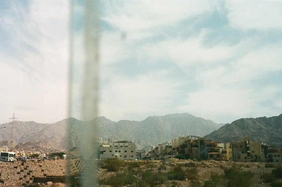 Nature on 35mm, frame 50 of 65