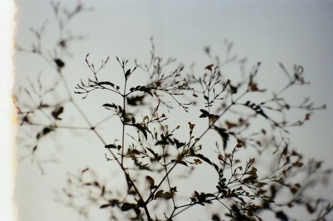 Jordan on Film, frame 64 of 124