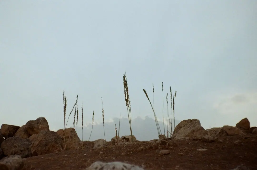 Jordan on Film, frame 71 of 124