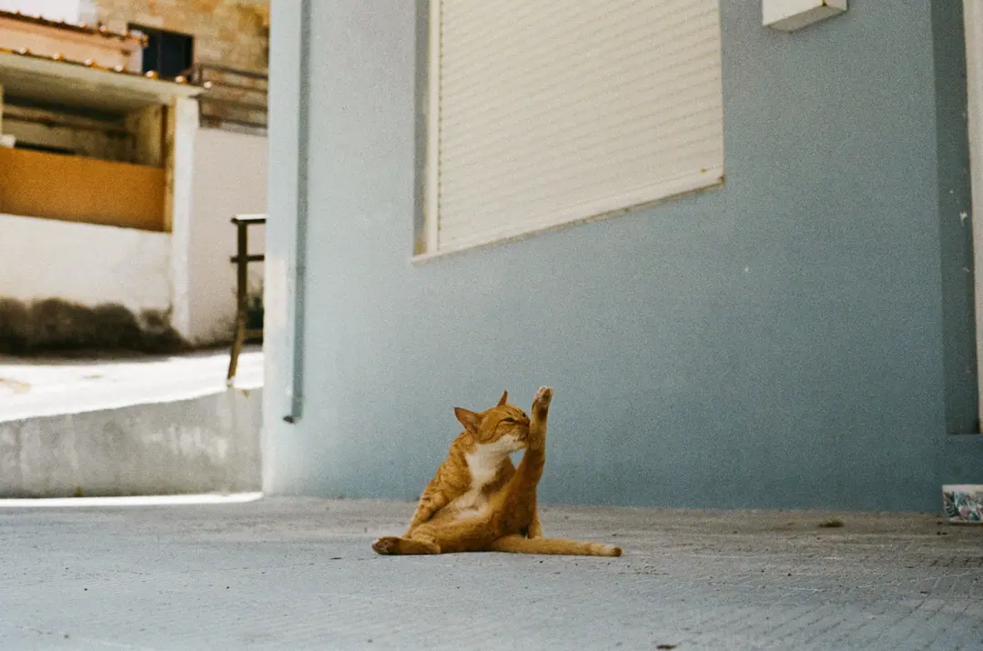 Greece on Film, frame 32 of 90