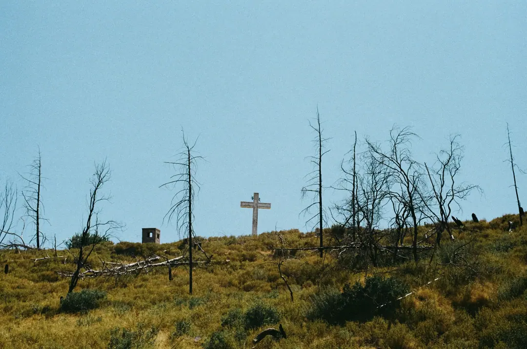 Nature on 35mm, frame 28 of 65