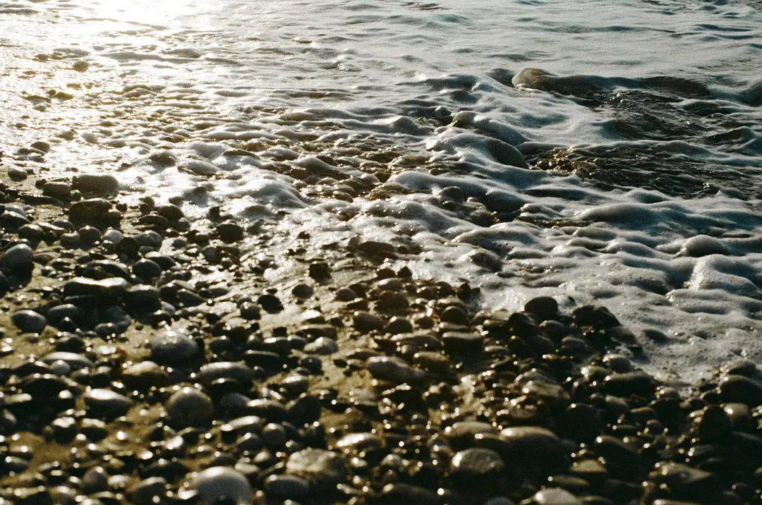 Nature on 35mm, frame 48 of 65