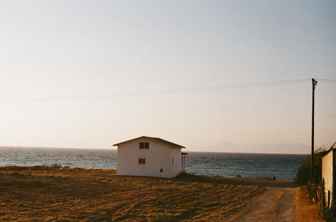 Nature on 35mm, frame 36 of 65