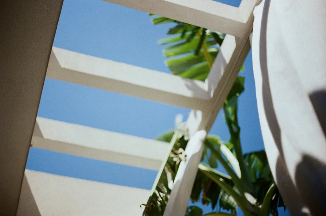 Nature on 35mm, frame 26 of 65