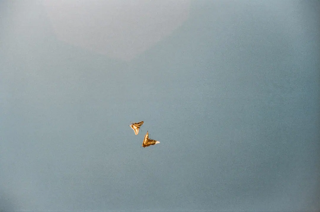 Greece on Film, frame 63 of 90