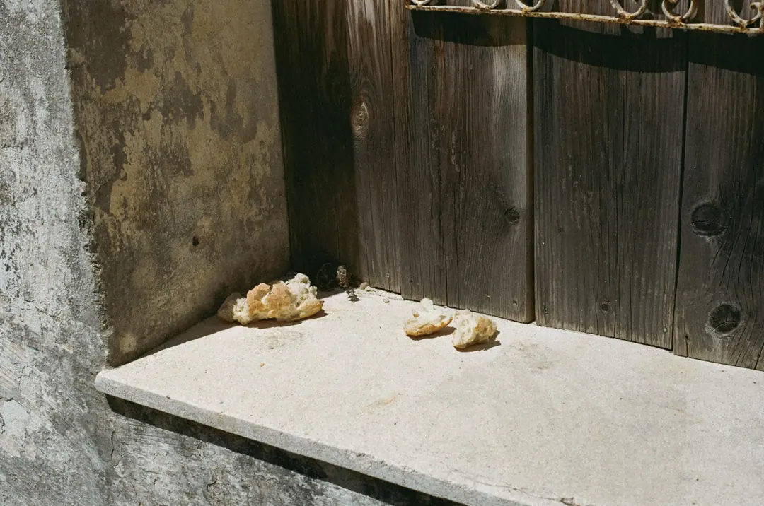 Nature on 35mm, frame 45 of 65