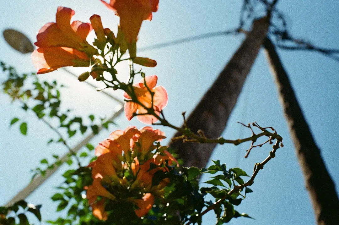 Greece on Film, frame 68 of 90