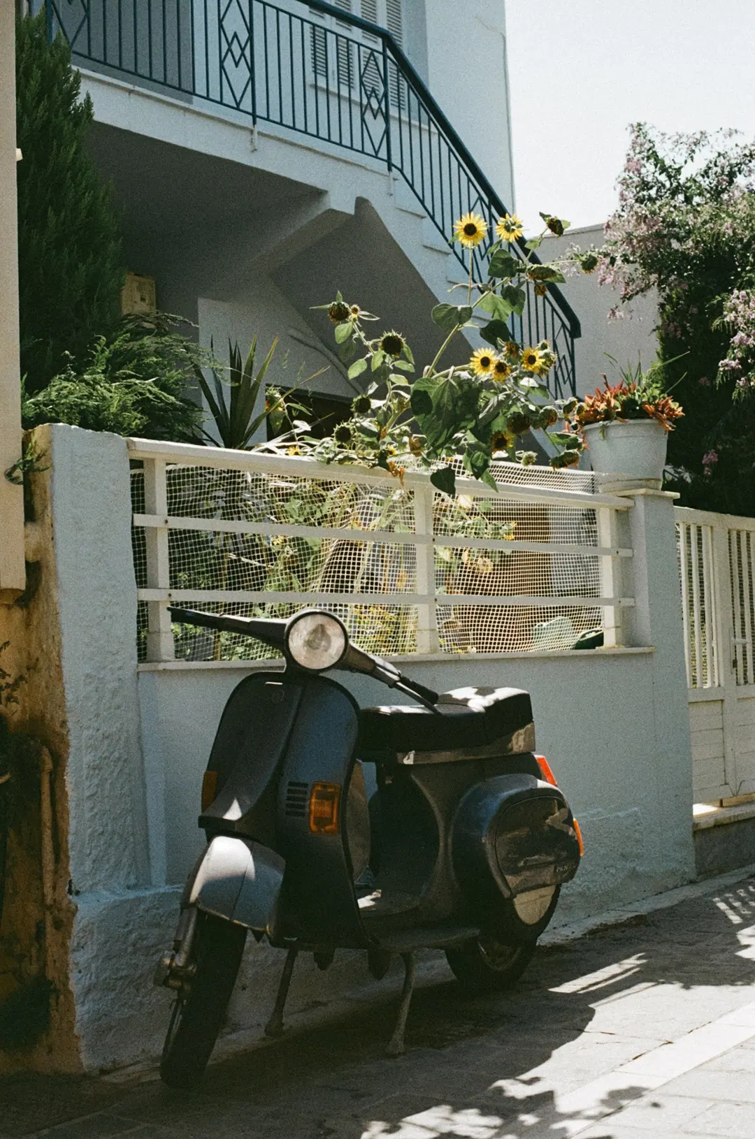 Nature on 35mm, frame 43 of 65