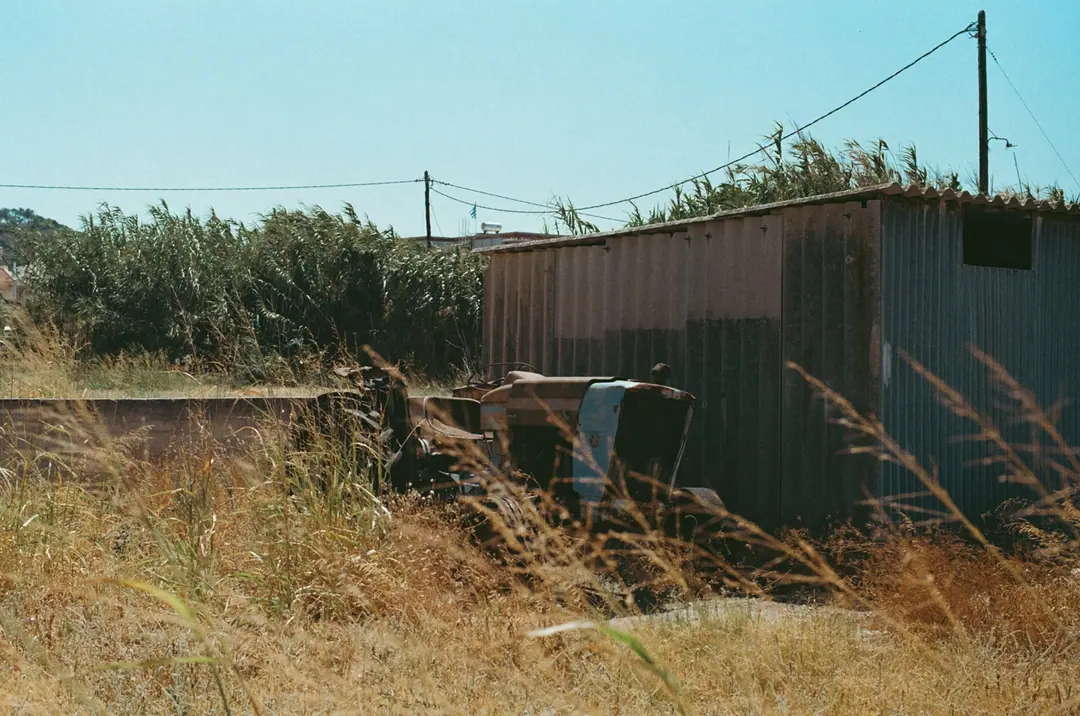 Nature on 35mm, frame 37 of 65