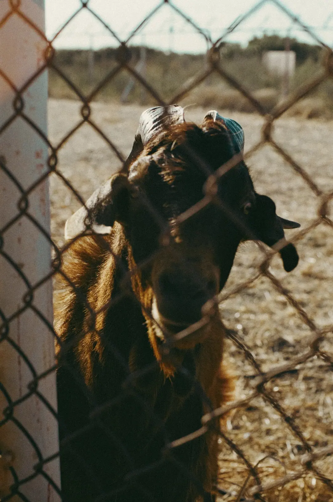Greece on Film, frame 83 of 90