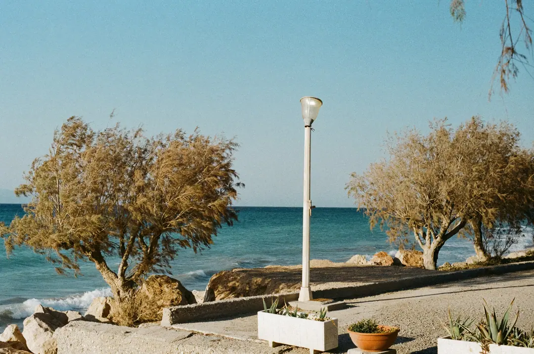 Nature on 35mm, frame 40 of 65