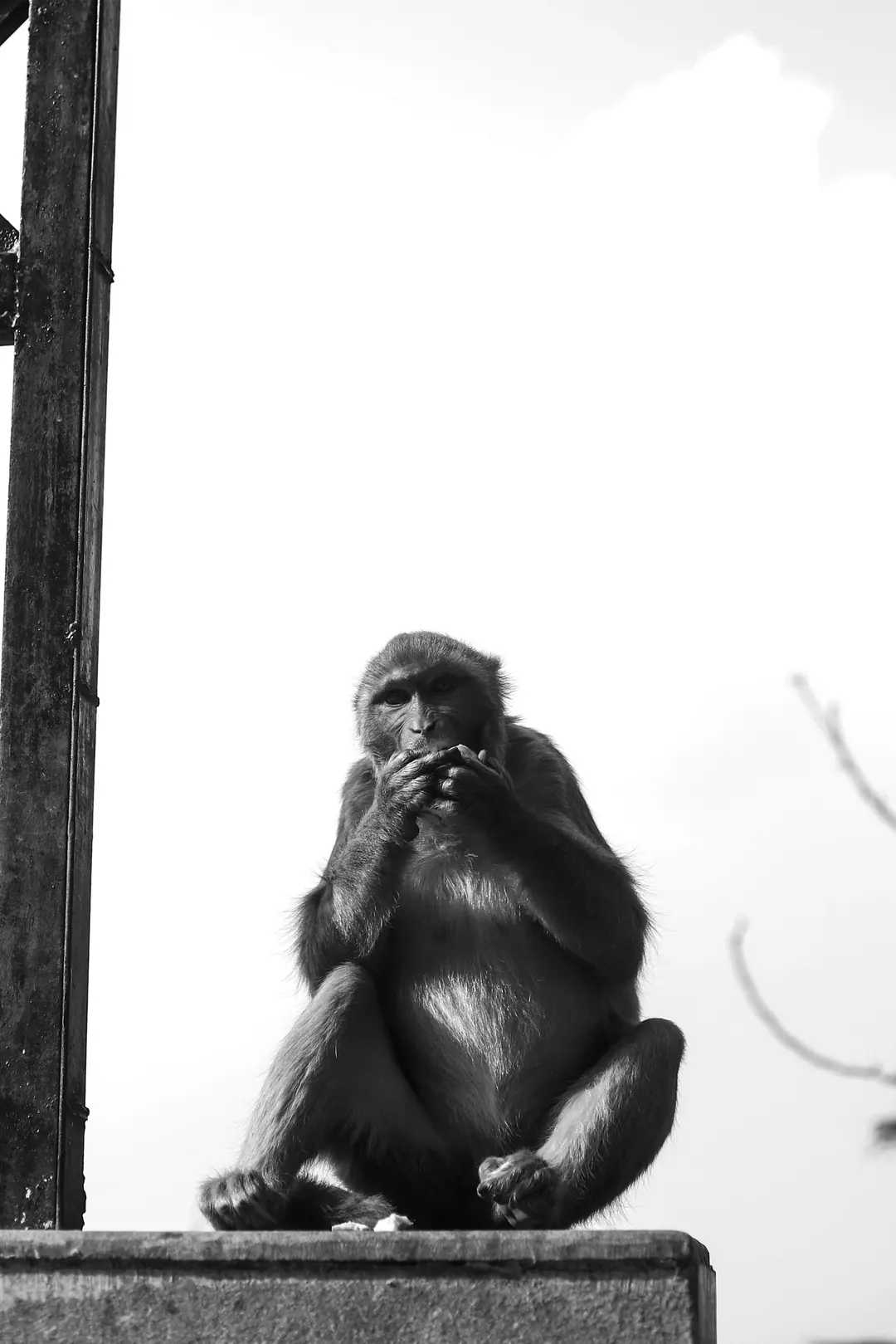 India, frame 34 of 42