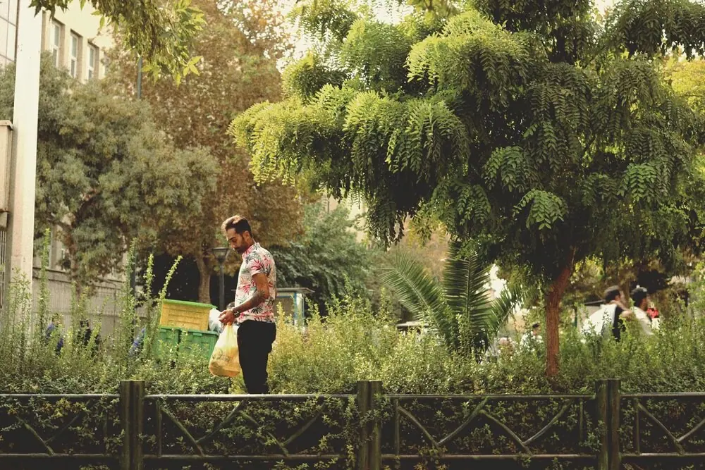 Iran, frame 100 of 101