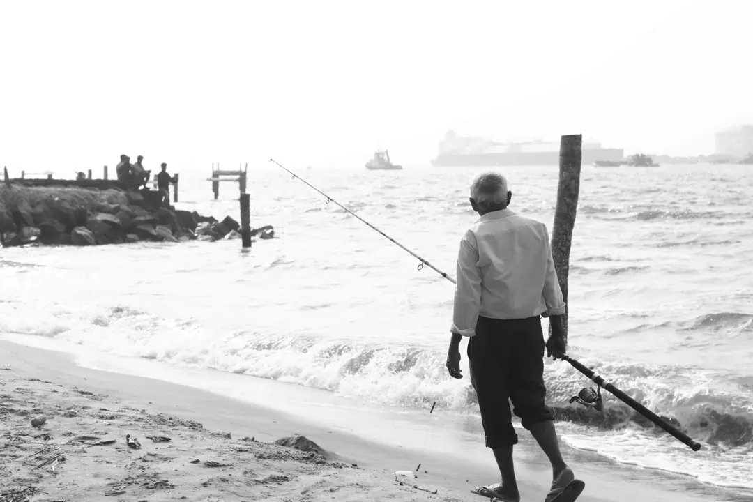 India, frame 40 of 42