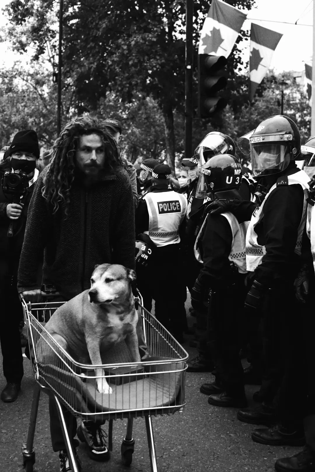 Anti-Lockdown, frame 23 of 115