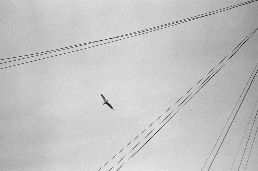35mm, frame 22 of 87