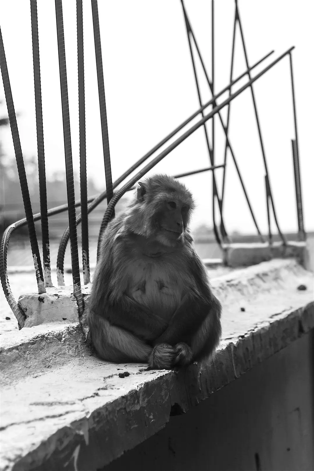 India, frame 36 of 42