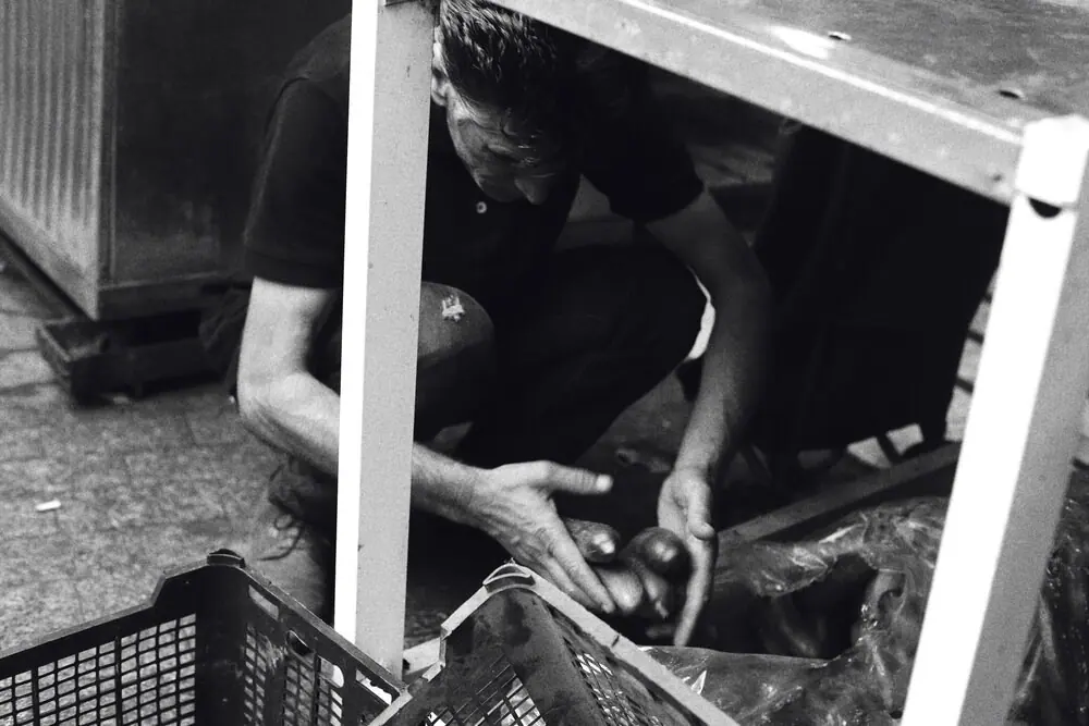 Iran, frame 28 of 101